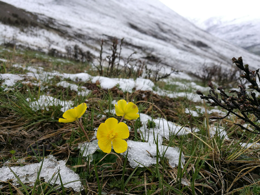 QQ图片20170531191225 QQ图片20170531191225