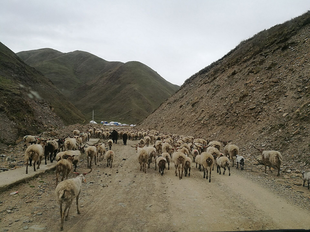 QQ图片20170531191133 QQ图片20170531191133