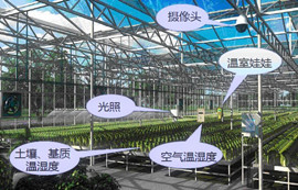 433M无线串口模块E30-TTL-100在农业物联网应用