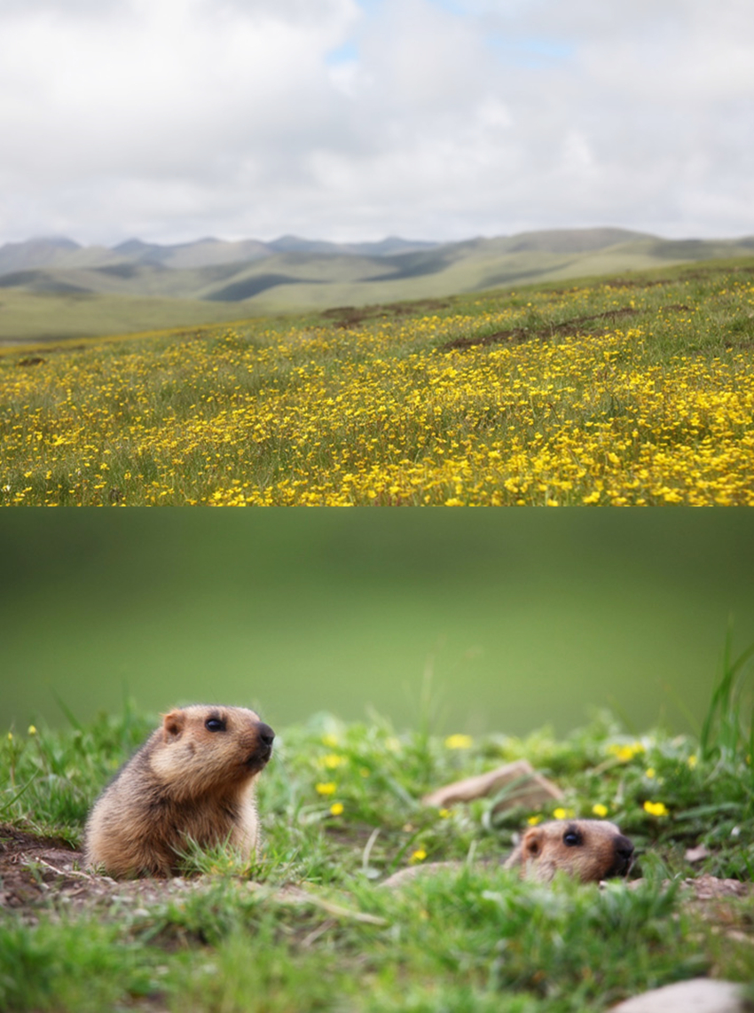 助学活动_05 助学活动_05