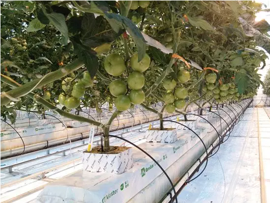 物联网在农业中的应用 QQ截图20191023101937