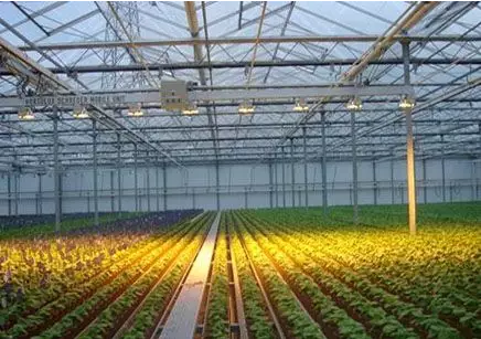 物联网在农业中的应用 QQ截图20191023101954