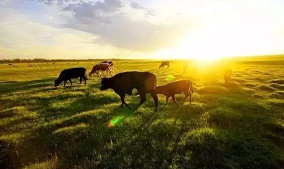 QQ截图20191031134000 QQ截图20191031134000