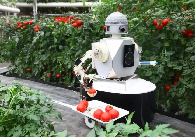 QQ截图20191119161353