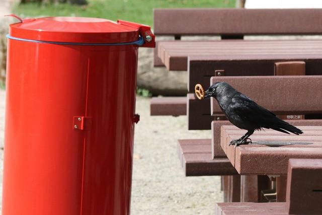 0e1ba2ac5f8c467a85e125b722ffe666 0e1ba2ac5f8c467a85e125b722ffe666