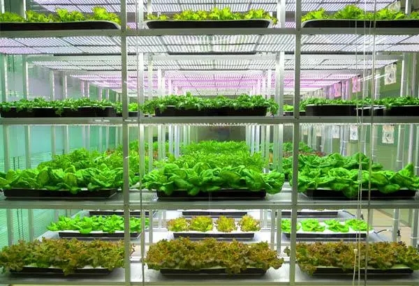 智慧农业 智慧农业