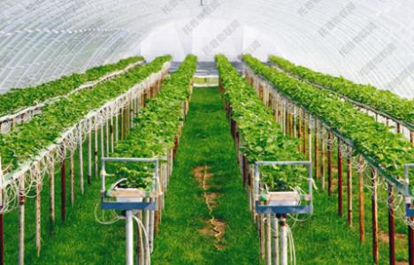 u=2382702493,1040447798&fm=26&gp=0 u=2382702493,1040447798&fm=26&gp=0