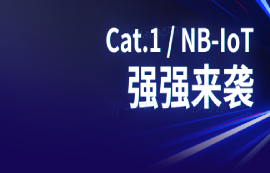 Cat.1火了，亿佰特Cat.1模块和NB-IoT模块强强来袭！