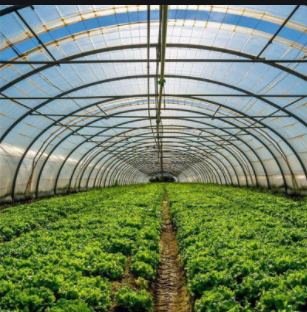 物联网智慧农场应用 物联网智慧农场应用