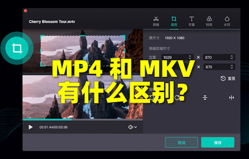 【科普视频】MP4和MKV有什么区别？