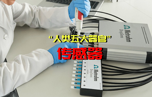 【科普视频】你知道“人类五大感觉器官”传感器有哪些吗？