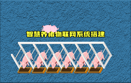 【科普视频】智慧养猪物联网系统如何搭建？有什么功能？