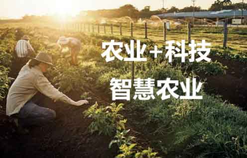 LoRa技术在智慧农业中的物联网应用案例分享