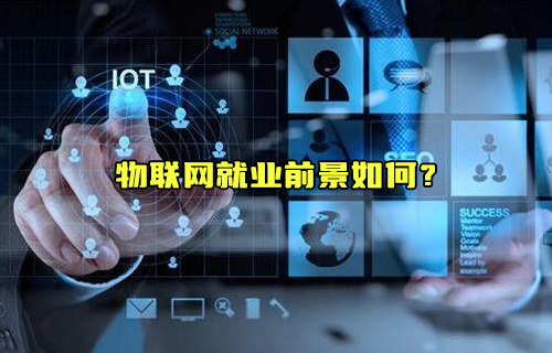 【科普视频】物联网就业前景如何？