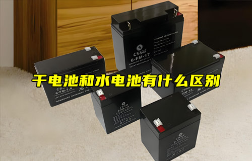 【物联科普】干电池和水电池的区别？