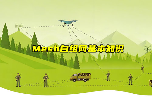 mesh组网和普通星型组网的简述和区别