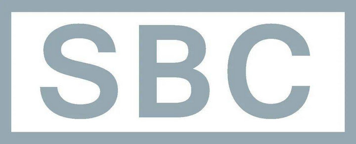 2  蓝牙音频技术术语