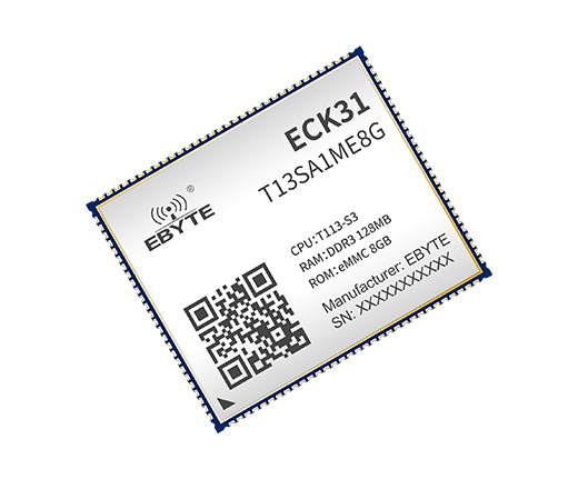 全志T113-S多核异构处理器