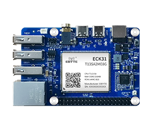 ECB31-P4T13SA2ME8G