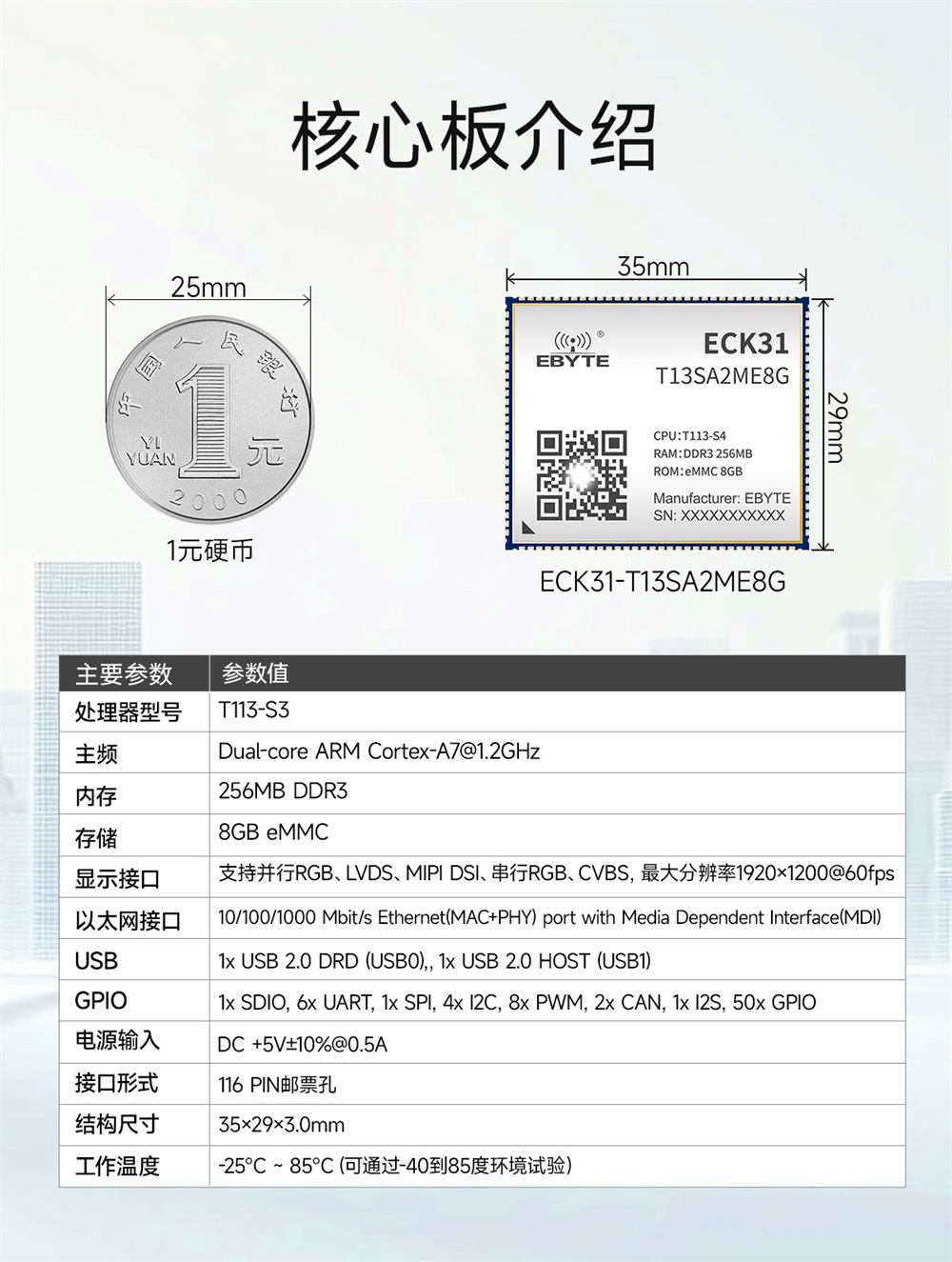 ECB31-P4T13SA2ME8G工业级单板机 (4)