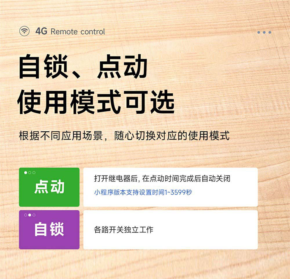 CE31-B01RX 远程遥控开关 (4)