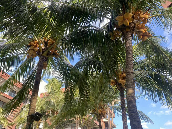 微信图片_20251211113348_7_117