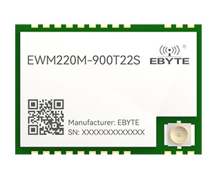 EWM220M-900T22S
