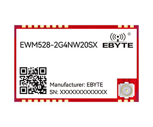 EWM528-2G4NW20SX