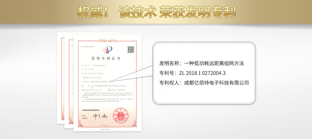 202133175931630 202133175931630