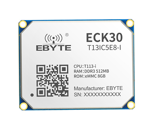 ECK30-T13IC5E8-I