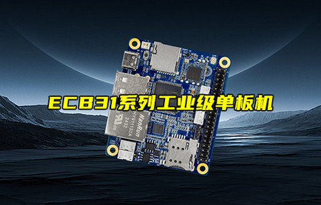 ECB31系列工业级T113-S国产单板机产品简介