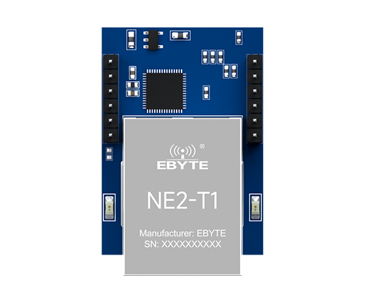NE2-T1