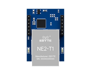 NE2-T1