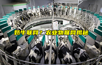 奶牛联网？农业物联网揭秘