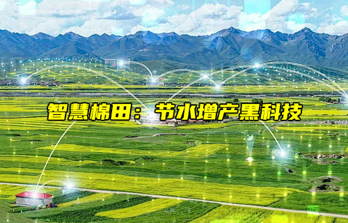 智慧棉田物联网方案的节水增产黑科技