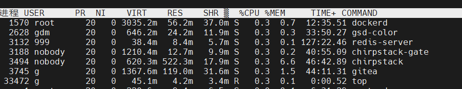 Linux top命令指标与交互解析教程 2