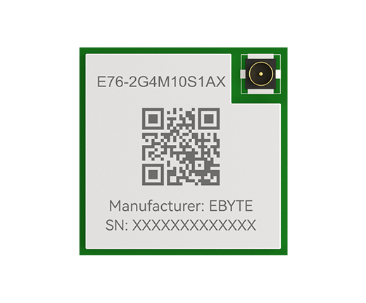 E76-2G4M10S1AX (1)