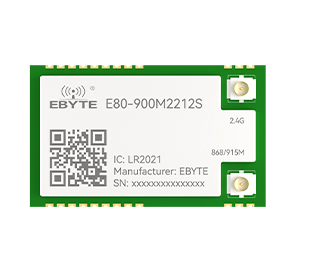 E80-900M2212S