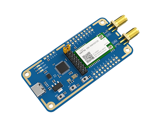 双频LoRa模块开发板